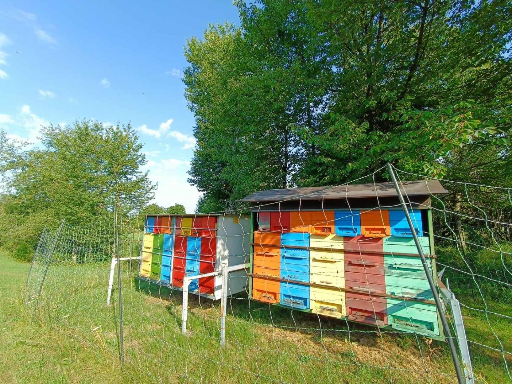 Apartma Mihatovi Pivka Zewnętrze zdjęcie
